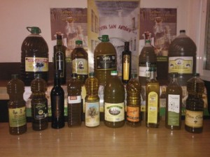 cata aceite 2013
